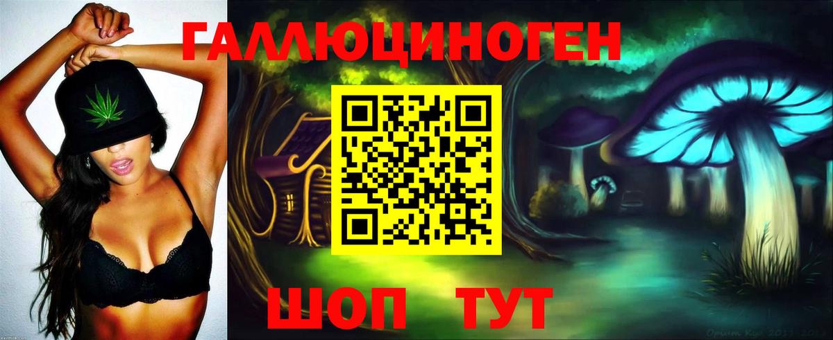 Псилоцибиновые грибы мицелий  Вход с VPN  Гудермес 