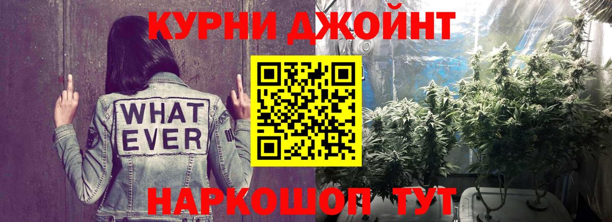 Каннабис сатива  Вход с VPN  Гудермес  Шишки марихуана тримм  Канабис семена 